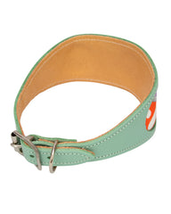 Magical Mushrooms Hound Collar by Hiro And Wolf