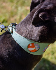 Magical Mushrooms Hound Collar by Hiro And Wolf