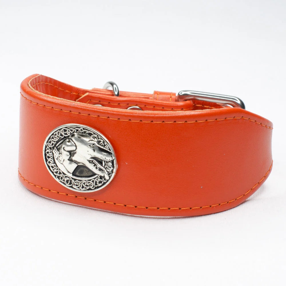 Hound Head Concho Whippet Collar by Petiquette