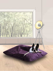 Luxury Orthopaedic Divan Due Dog Sleeping Bag Bed