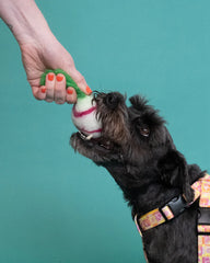 Rory Radish Dog Toy