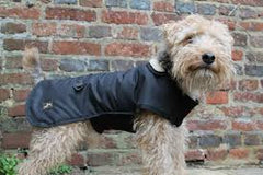 Country and Twee Black Underbelly Waterproof Dog Coat