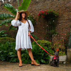 Inca Orange Classic Dog Lead by Hiro and Wolf