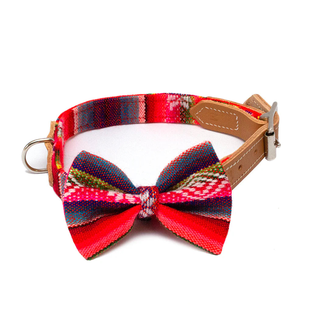 Inca Orange Dog Bow Tie by Hiro And Wolf