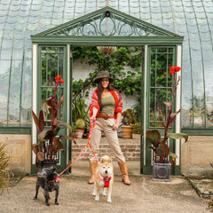 Inca Orange Dog Bow Tie by Hiro And Wolf