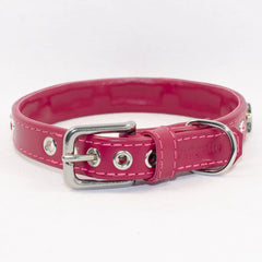 Star Studded Crystal Dog Collar by Petiquette