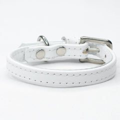 Leather Puppy Collar by Petiquette