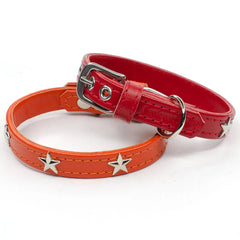 Star Leather Dog Collar by Petiquette