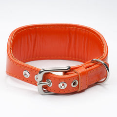 Hound Head Concho Whippet Collar by Petiquette