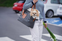 Liiva Grey Dog Carrier & Handbag by Labbvenn