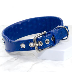 Trinity Wide Designer Dog Collar by Petiquette