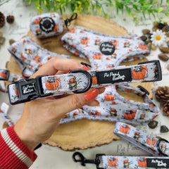 Little Pumpkin Bear Cub Dog Collar