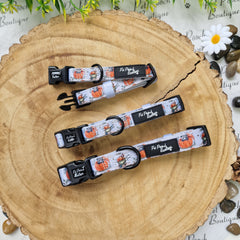 Little Pumpkin Bear Cub Dog Collar