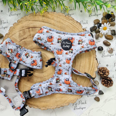 Little Pumpkin Bear Cub Dog Harness