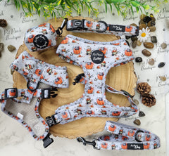 Little Pumpkin Bear Cub Dog Harness Set