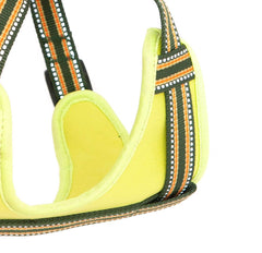 Green Padded Reflective Dog Harness | Long Paws