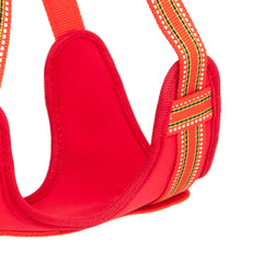 Orange Padded Reflective Dog Harness | Long Paws