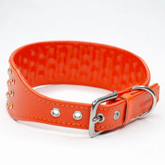 Crystal Clarity Luxury Greyhound Collar by Petiquette