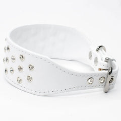 Crystal Clarity Luxury Whippet by Petiquette