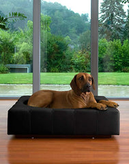 Luxury Leather Cube Dog Bed Black