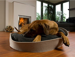 Luxury Orthopaedic Arena Felt Dog Bed