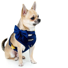 Luxury Royal Blue Velvet Harness, Dog Collar And Bow Tie, Lead and Poo Bag Holder Complete Set