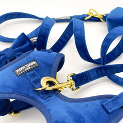 Luxury Royal Blue Velvet Harness, Dog Collar And Bow Tie, Lead and Poo Bag Holder Complete Set
