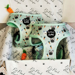Mint Choc Chip Easter Bunny Dog Harness | Pet Pooch Boutique