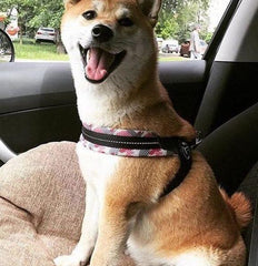 Tre Ponti Easy Fit Pink Camo Mesh Dog Harness with Adjustable Girth