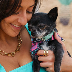 Mud Cloth Dog Harness by Hiro and Wolf | Vegan Dog Harness