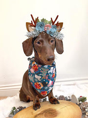 Nutcracker In Blue Christmas Dog Bandana