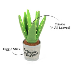 P.L.A.Y Blooming Buddies Aloe-ve You Plant Dog Toy