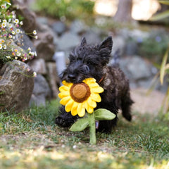 P.L.A.Y Blooming Buddies Sassy Sunflower Dog Toy