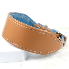 Soft Padded Italian Greyhound Collar by Petiquette