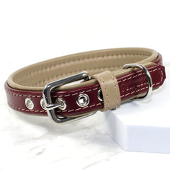 Padded Leather Dog Collar by Petiquette