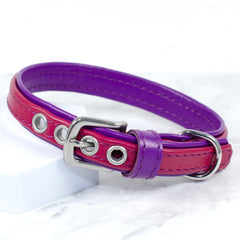 Two Tone Leather Dog Collar by Petiquette