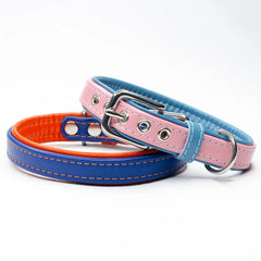 Padded Leather Dog Collar by Petiquette