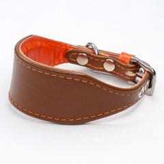 Soft Padded Italian Greyhound Collar by Petiquette