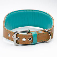 Padded Leather Greyhound Collar by Petiquette