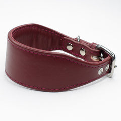 Padded Leather Whippet Collar by Petiquette