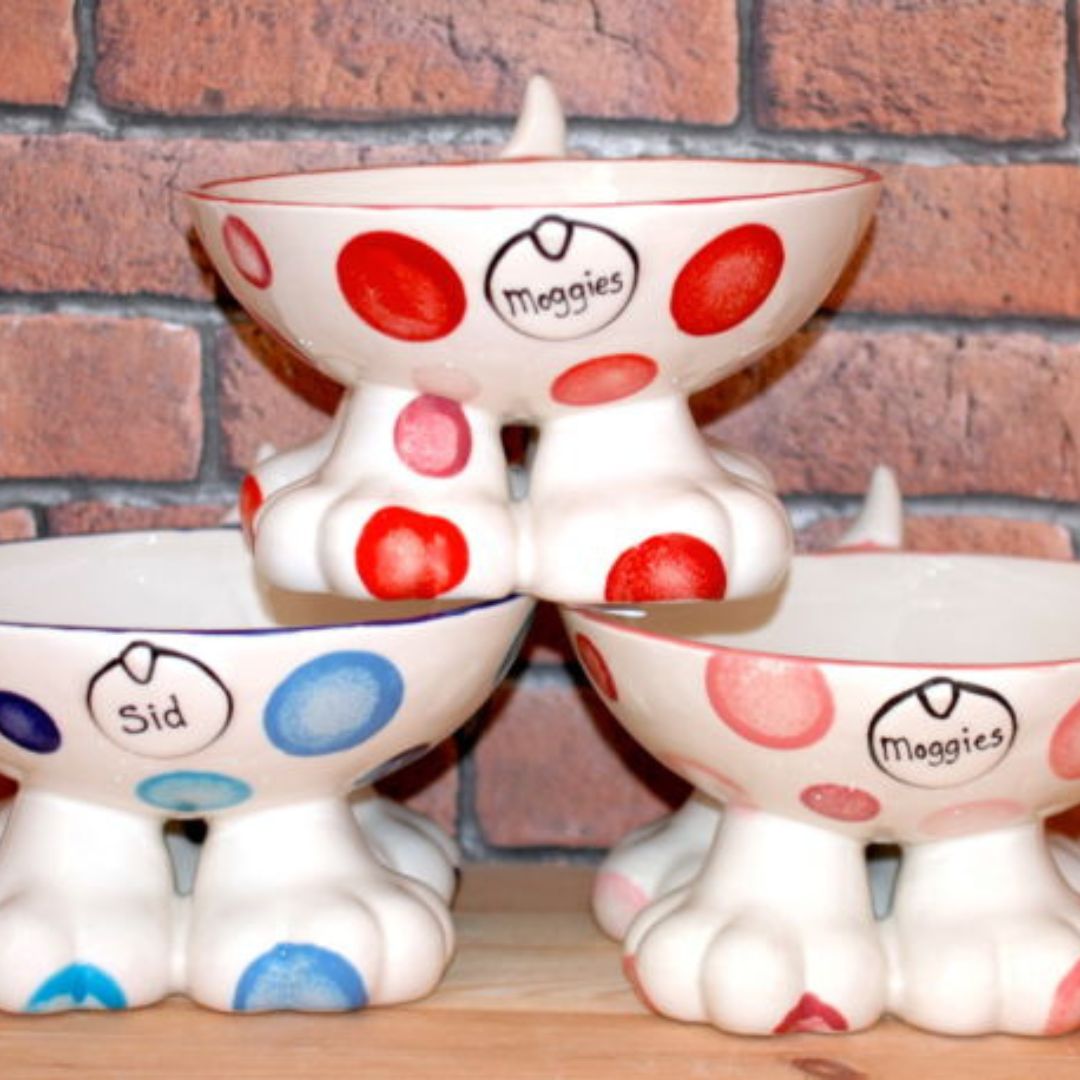 Personalised Ceramic Spotty Dog Legs Bowls