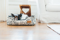 Celestial Night Sky Black Lounge Dog Bed by P.L.A.Y