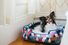 Mosaic Soda Pop Lounge Dog Bed by P.L.A.Y