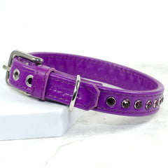 Amethyst Aura Purple Swarovski Dog Collar by Petiquette