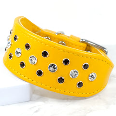 Razzle Dazzle Bespoke Whippet by Petiquette