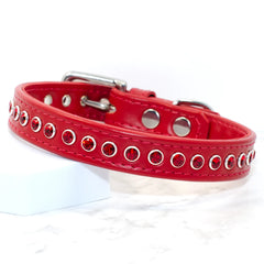 Radiant in Red Swarovski Dog Collar by Petiquette