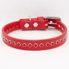 Radiant in Red Swarovski Dog Collar by Petiquette