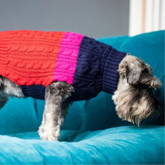 Red & Pink Colour Block Dog Jumper by Sotnos