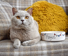 Personalised Bunting Design Dog Bowls | Crazy Fur You