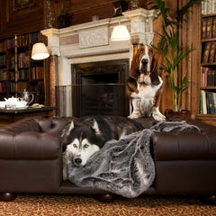 Scott's of London Balmoral Dog Chesterfield Brown Real Leather